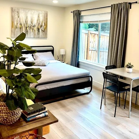 Brand New Modern Apartment